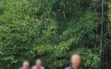 7월 산책