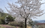 4월 산책